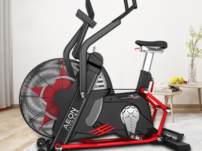 广西国奥体育专营美国原装进口正伦商用AU90磁控风阻立式健身车