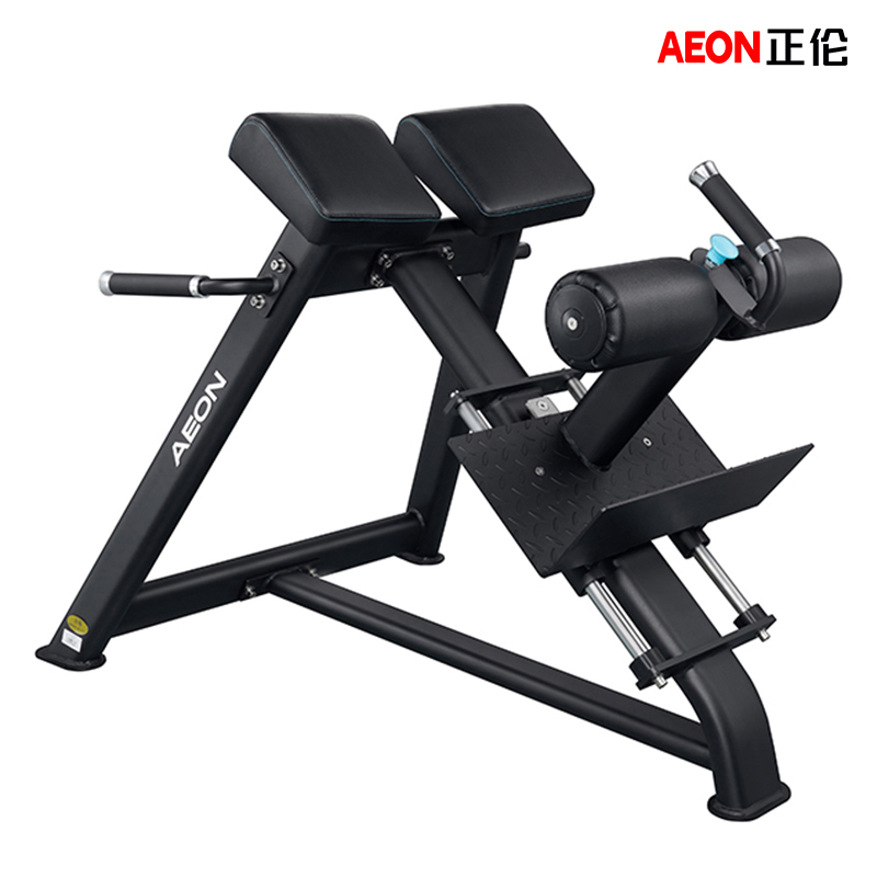 美国AEON 正伦CS-833 可调罗马椅广西批发厂家 背部肌肉力量训练器