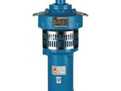 广西潜水泵厂家 不锈钢喷泉泵批发 喷泉专用泵