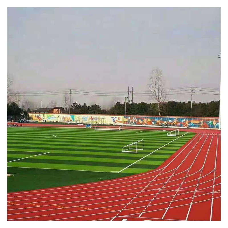 桂林学校运动跑道 运动跑道设计施工 耐磨跑道
