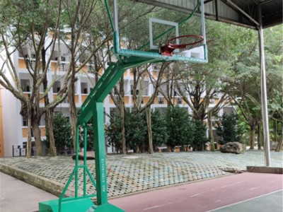 广西篮球架生产厂家 移动式国标篮球架厂家直销 价格实惠服务周到