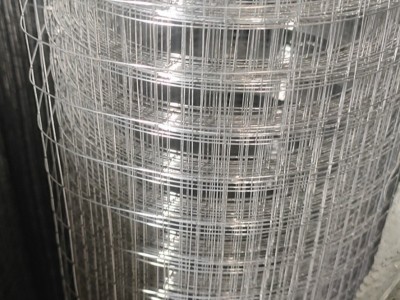 广西电焊网厂家 批灰网批发 电焊网价格