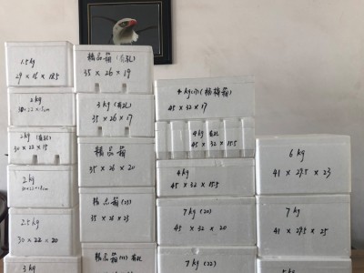 广东泡沫箱生产厂家 生鲜保鲜箱包装批发 规格多样
