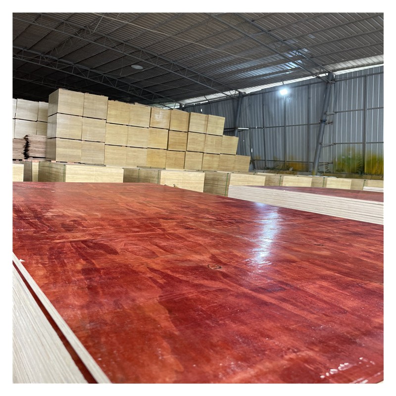 江苏工地常用建筑模板 整芯桉木模板 周转次数高 不起皮
