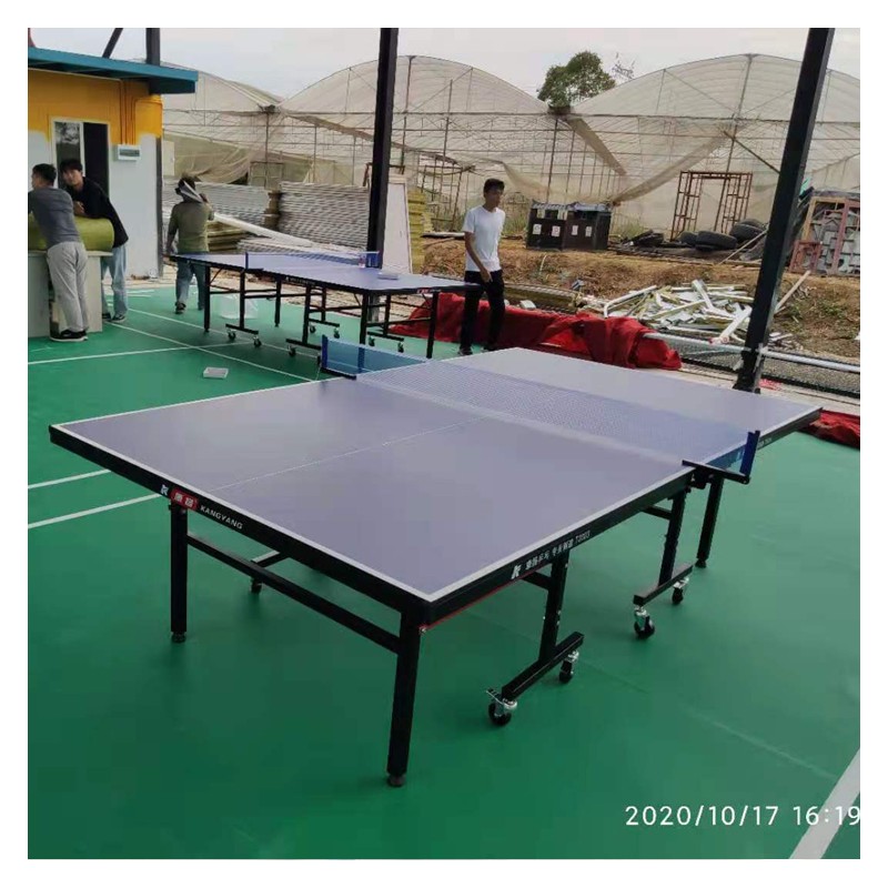 柳州乒乓球台 室内健身休闲乒台 国标乒乓球台 材质耐用