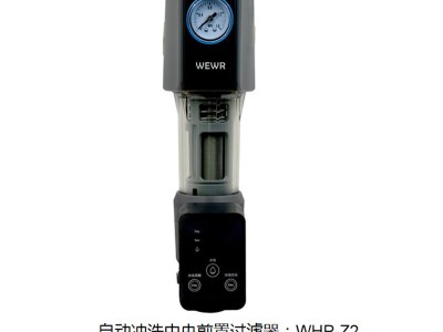 自动冲洗中央前置过滤器WHP-Z2 饮用水过滤器