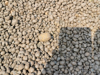 广西轻质陶粒生产厂家 桂林陶粒批发 建筑陶粒足方足量