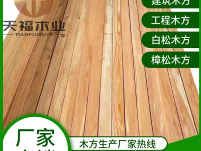 工地专用木方 建筑材料木材厂家  规格3米、4米