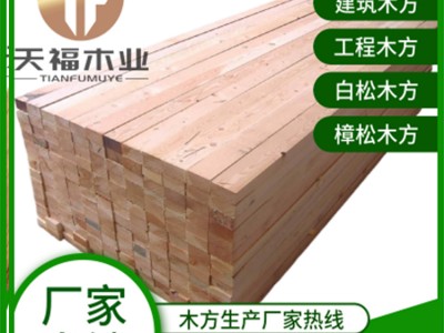 广西进口木材批发市场 建筑木方4x9价格
