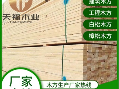 建筑木方 工程方条 木材加工厂 规格4*8价格