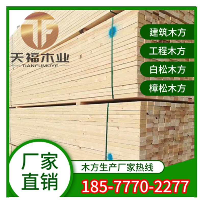 建筑木方 工程方条 木材加工厂 规格4*8价格
