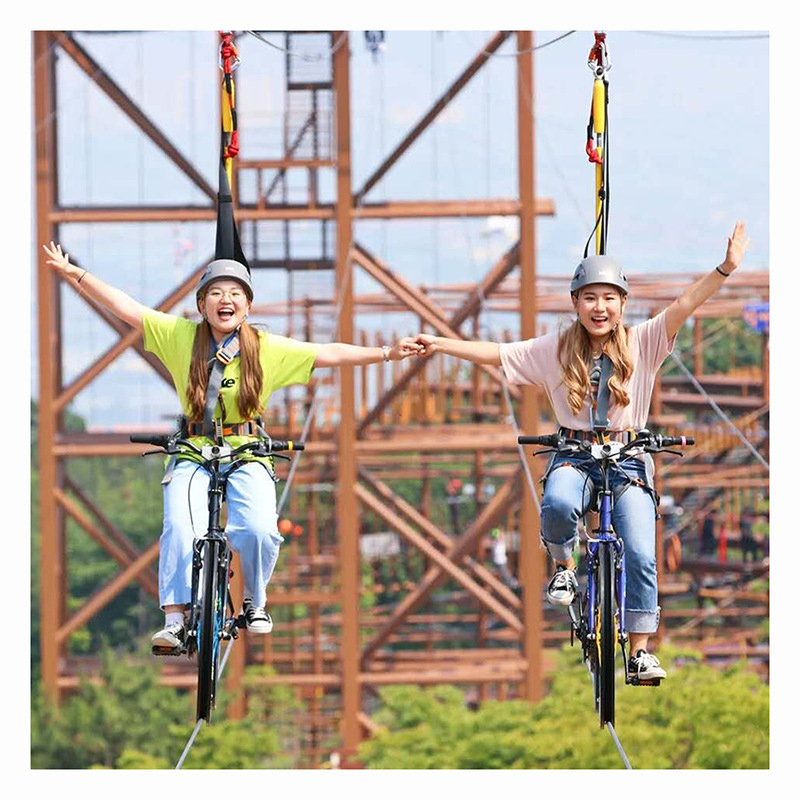 户外丛林景区网红高空自行车单双人往复式空中脚踏车亲子游乐设备