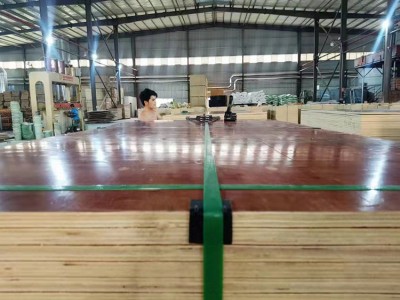 江西建筑模板厂家 供应批发桉木小红模板 周转次数高