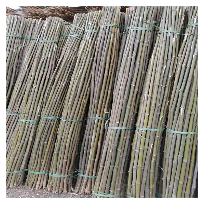 小竹尾竹子批发 厂家供应细竹竿 豆架竹杆 菜园搭架竹子