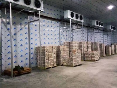 柳州小型冷库安装 保鲜冷藏速冻库 冷库设计与安装