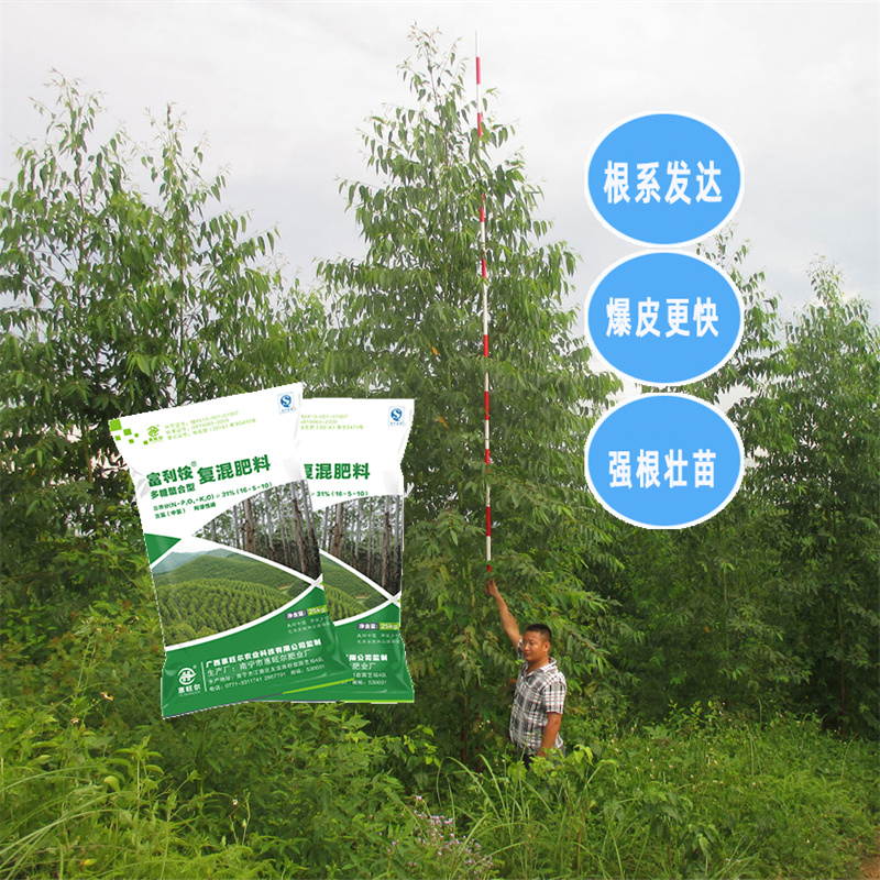 广西北流桉树肥 尾叶桉树专用肥工厂  高效桉树肥批发价格