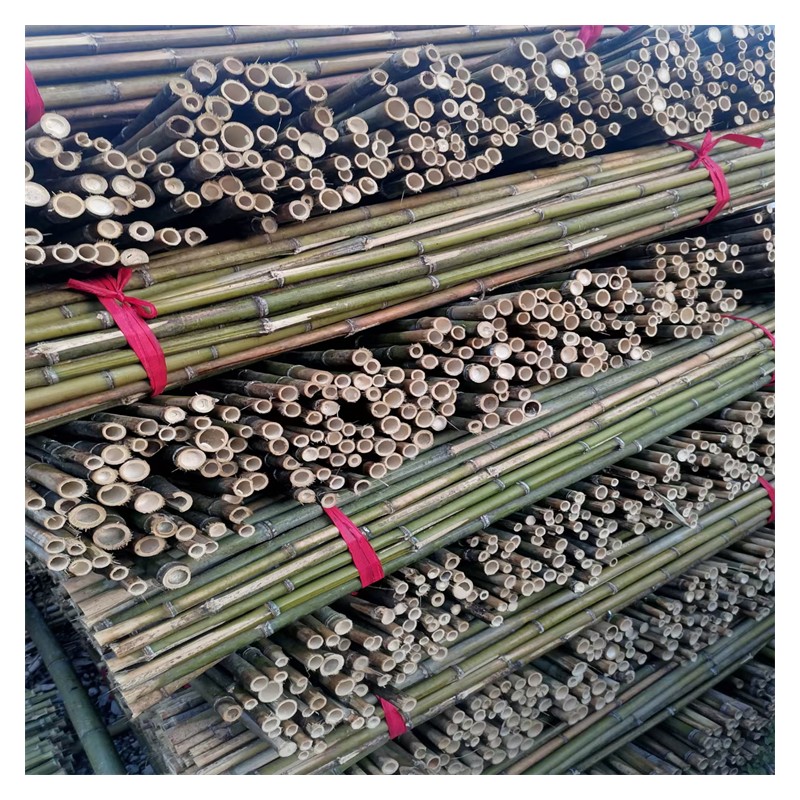 贵州竹子竹竿常年现货供应 菜架竹批发 竹杆售卖