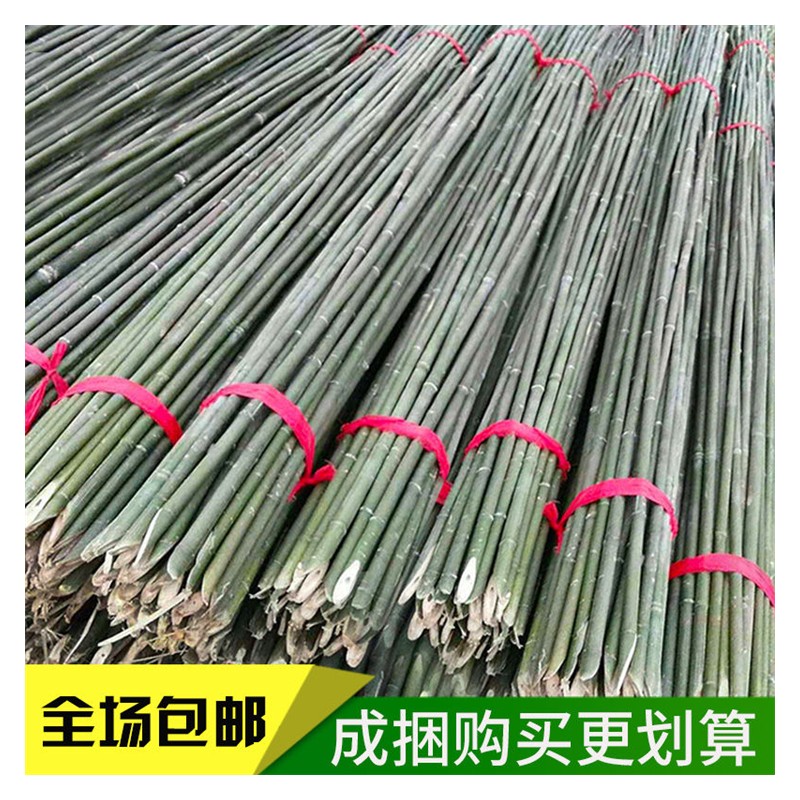 新疆竹子竹竿批发供应 竹杆厂家直销各种现货竹子