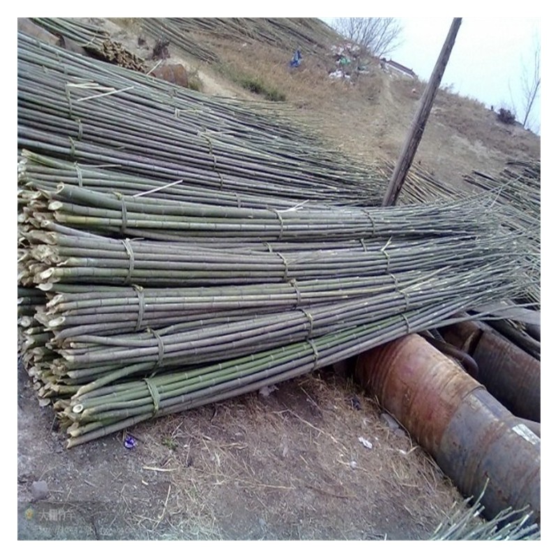 供应内蒙古竹竿 竹子批发出售 工厂直发菜架竹杆