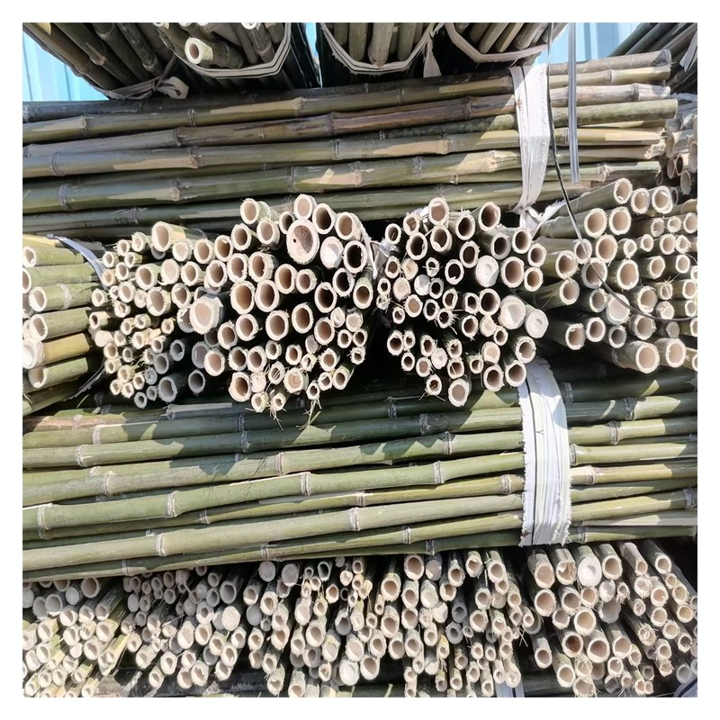 乌鲁木齐供应竹子架竿 小竹尾竹片批发 常年现货出售