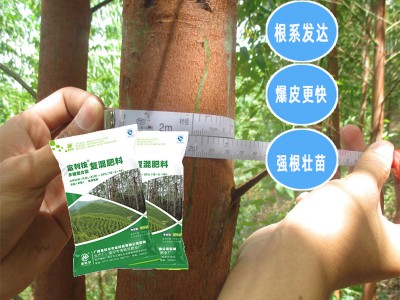 大理桉树肥 低氮的桉树肥厂家  特种桉树肥价格