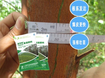 德保桉树肥 桉树壮肥工厂  林场专用桉树肥价格