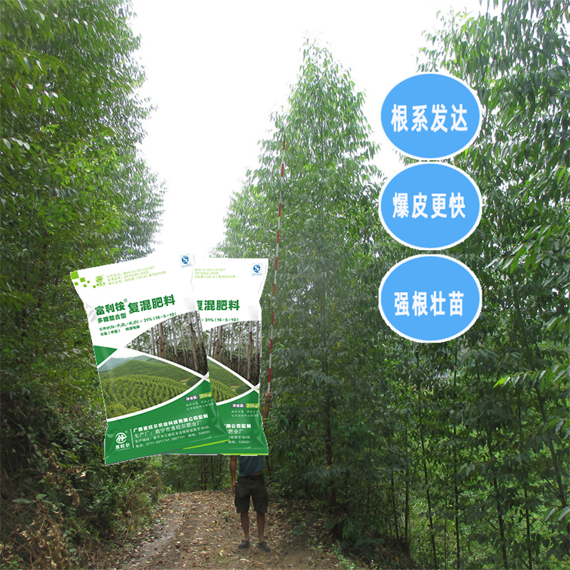 定安县桉树肥 桉树专用长效肥厂家  桉树肥批发价格