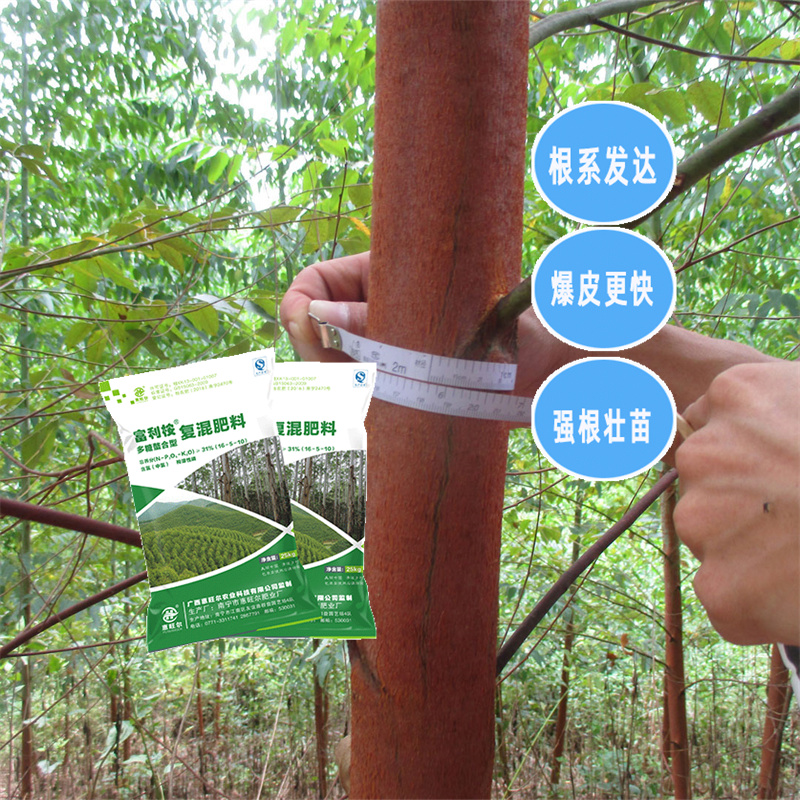 东门林场桉树肥 桉树专用缓释肥生产厂家  速生桉树肥批发价格