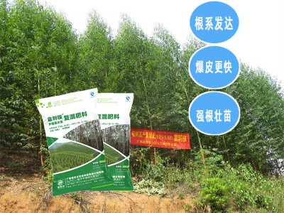 东兴桉树专用肥 桉树专用肥复合肥工厂  林场专用桉树肥批发价格