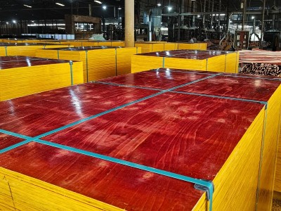四川厂家直销工地广西建筑模板各种规格厚度建筑模板1.0-1.5cm