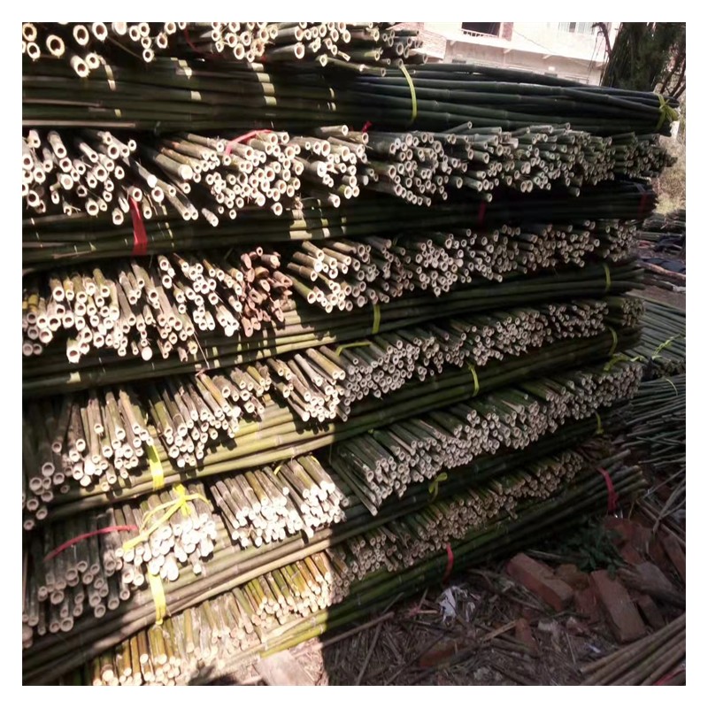 3米竹尾价格 3米竹竿批发 产地直发 多种规格竹竿竹尾供应
