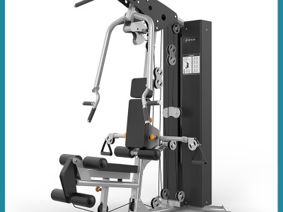 舒华豪华单人站综合训练器SH-G6501-职工健身房器材