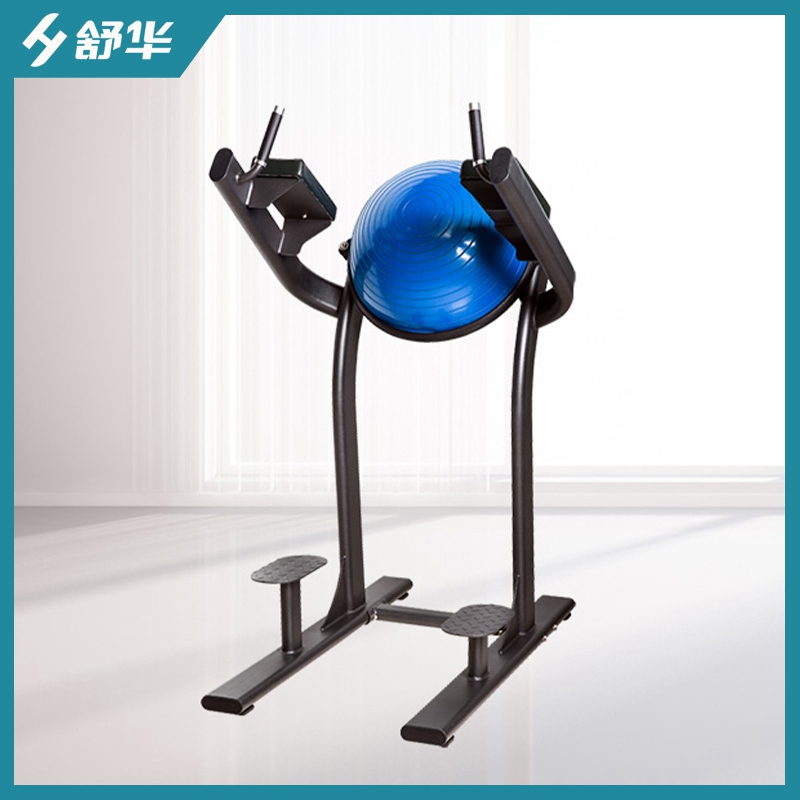 舒华提腿训练器SH-G6886-T18-单位健身房训练器材