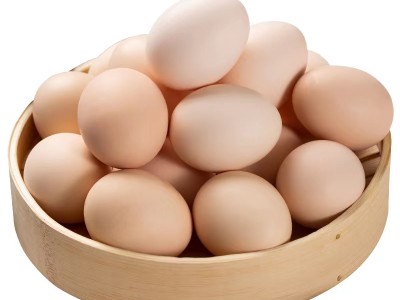 正宗农家散养土鸡蛋 新鲜土鸡蛋 无菌无公害鲜鸡蛋