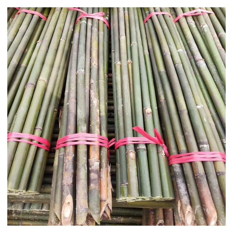来宾竹子竹竿批发 竹子加工厂供应 搭架竹竿 豆签扦竹