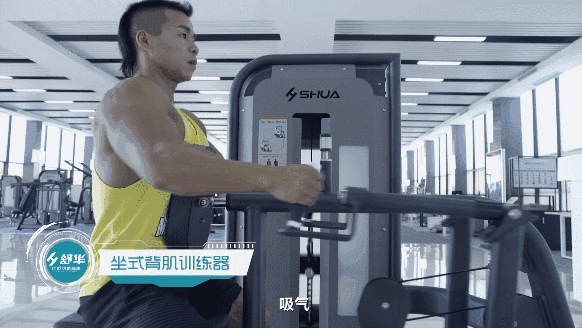 室内健身器材-坐式背肌训练器SH-6803