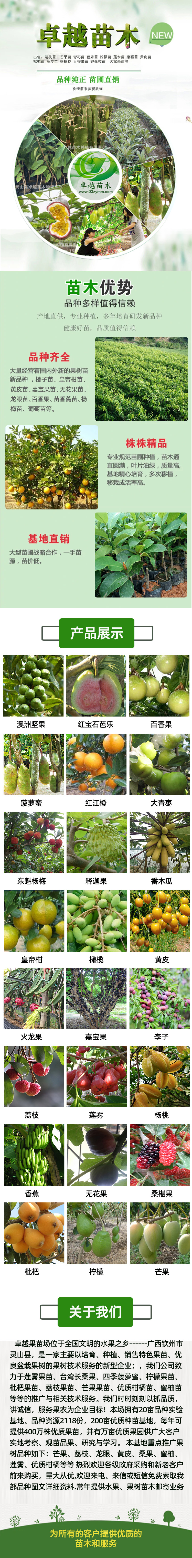1225广西灵山县卓越苗木种植有限责任公司.jpg