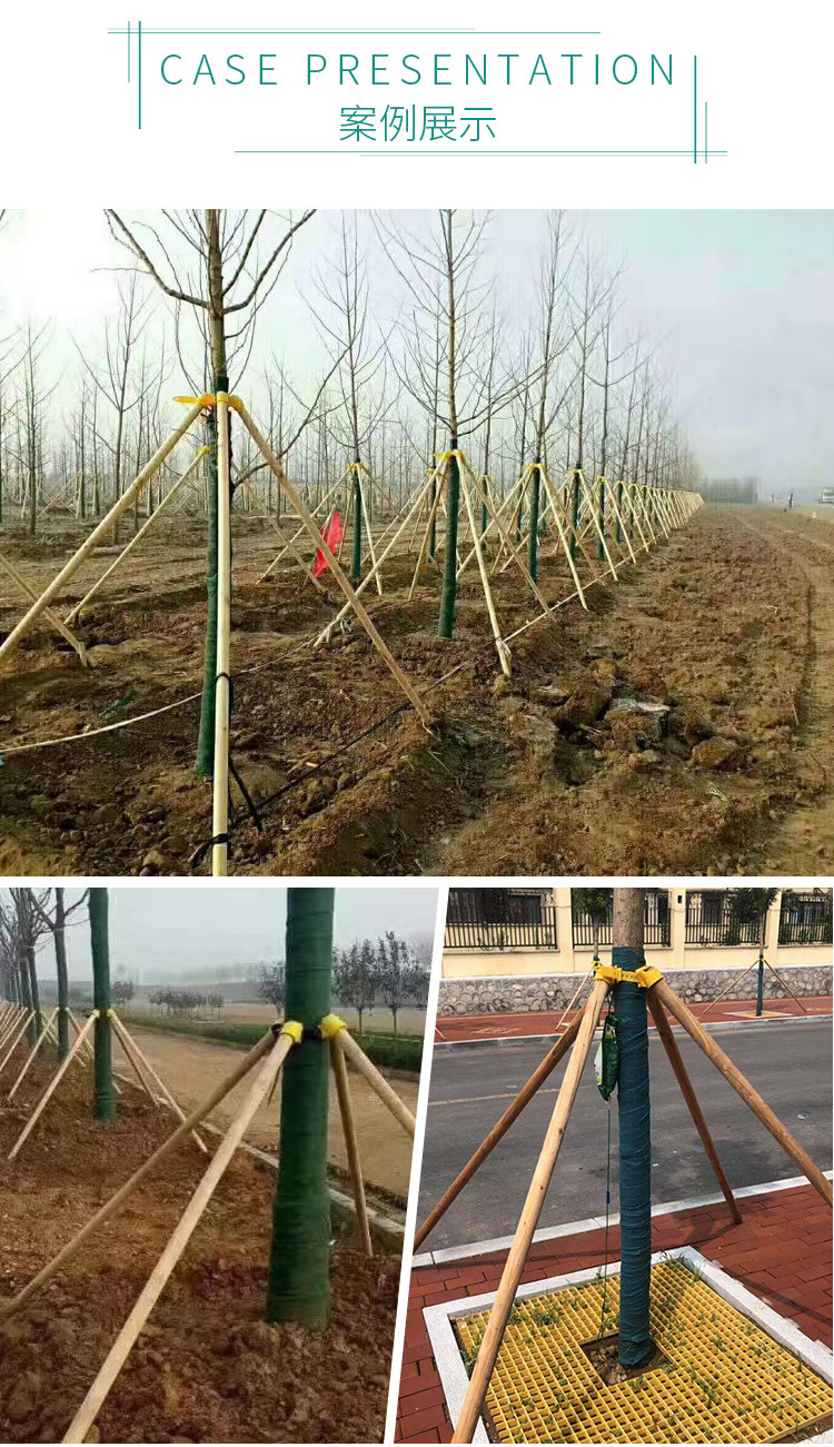 园林绿化树木支撑杆供应 优质松木杆支撑架出售 木材批发