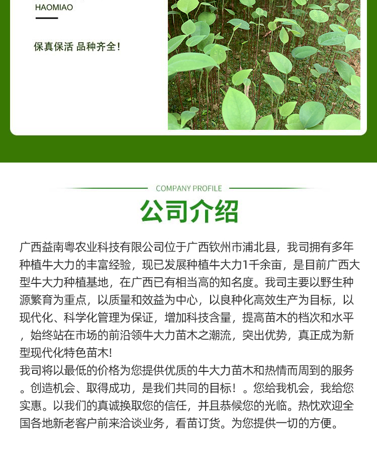 0629广西益南粤农业科技有限公司(1)_05.jpg