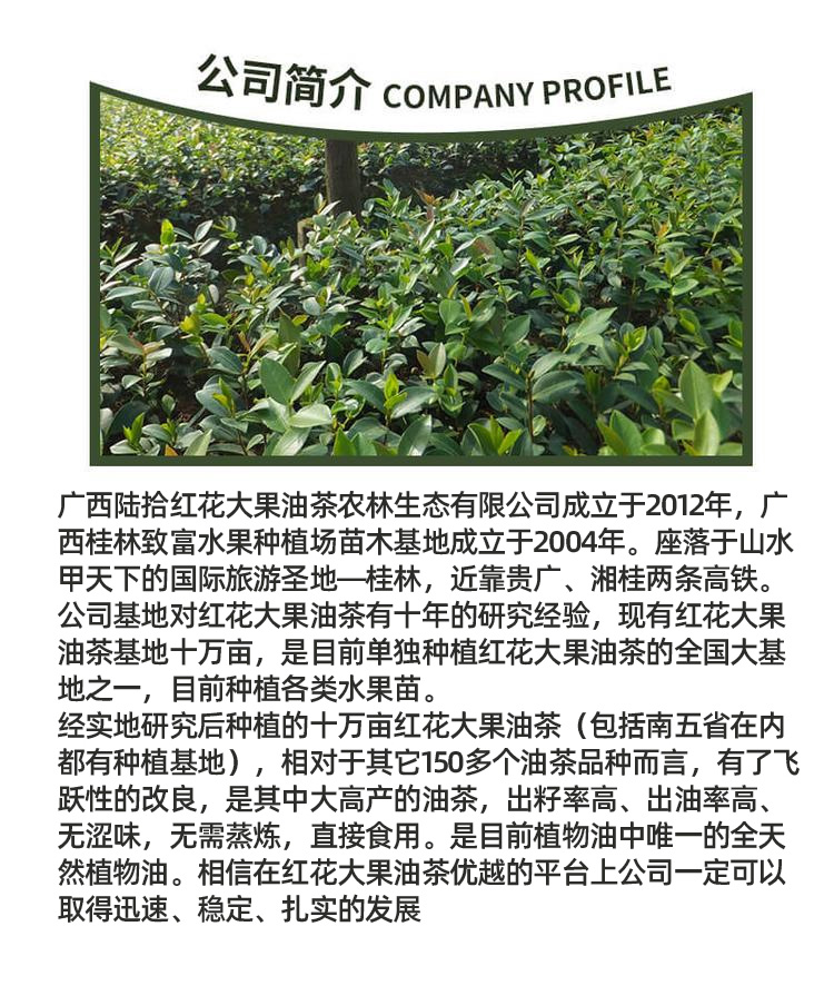 0329广西陆拾红花大果油茶农林生态有限公司_06.jpg