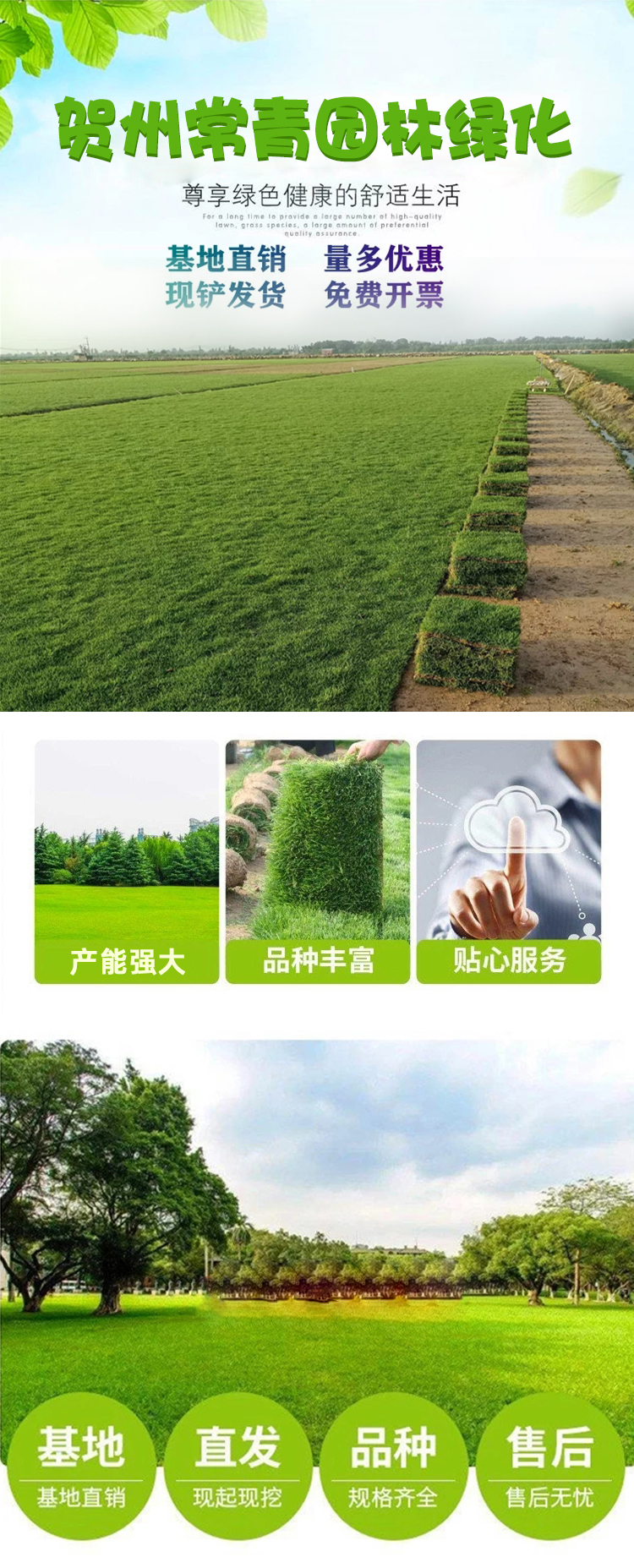 0823贺州常青园林绿化有限公司(1)_01.jpg