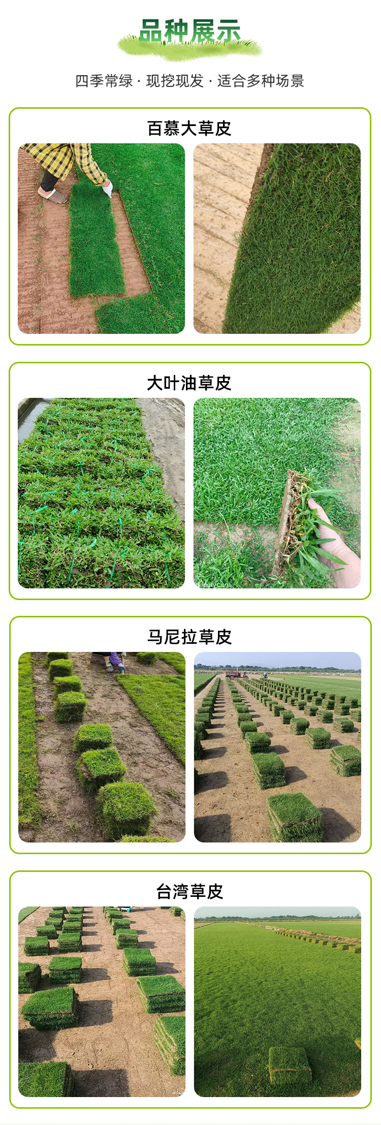 0823贺州常青园林绿化有限公司(1)_02.jpg