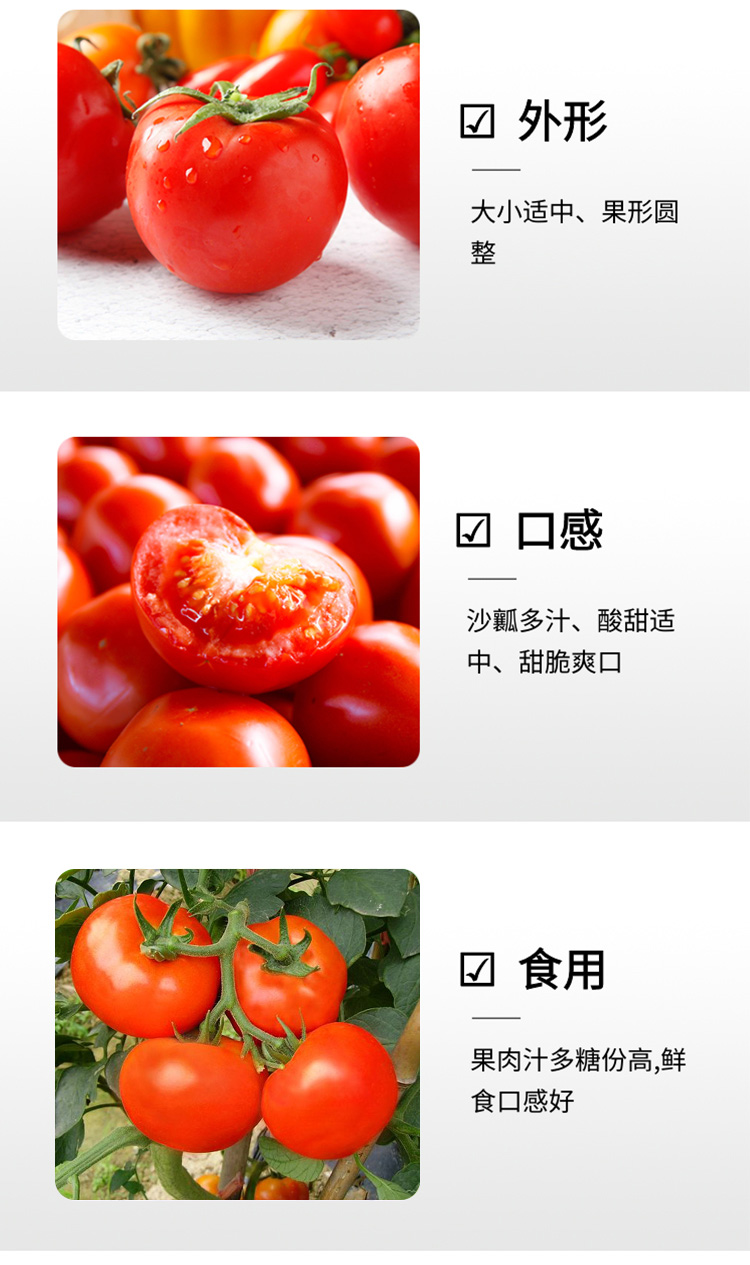 0806广西伯乐农业科技有限公司(1)_04.jpg