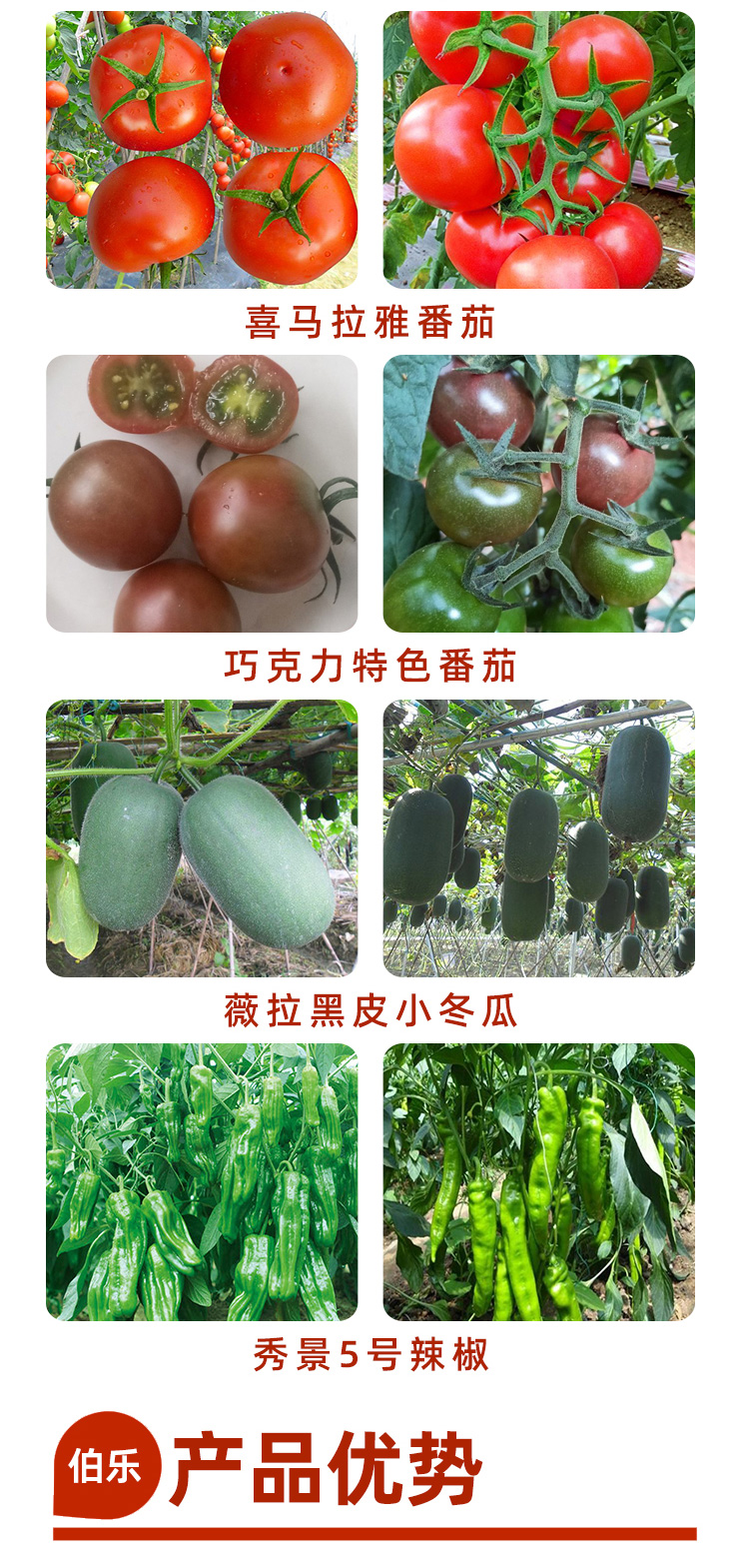 0806广西伯乐农业科技有限公司(1)_03.jpg